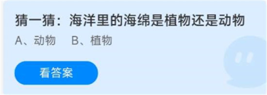 《蚂蚁庄园》2022年8月11日答案汇总