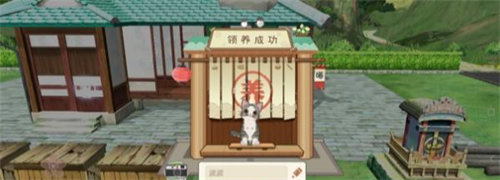 小森生活猫咪不吃东西解决方法